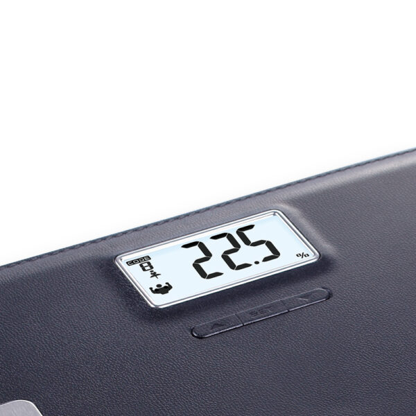 CAMRY Digital Weight EF751