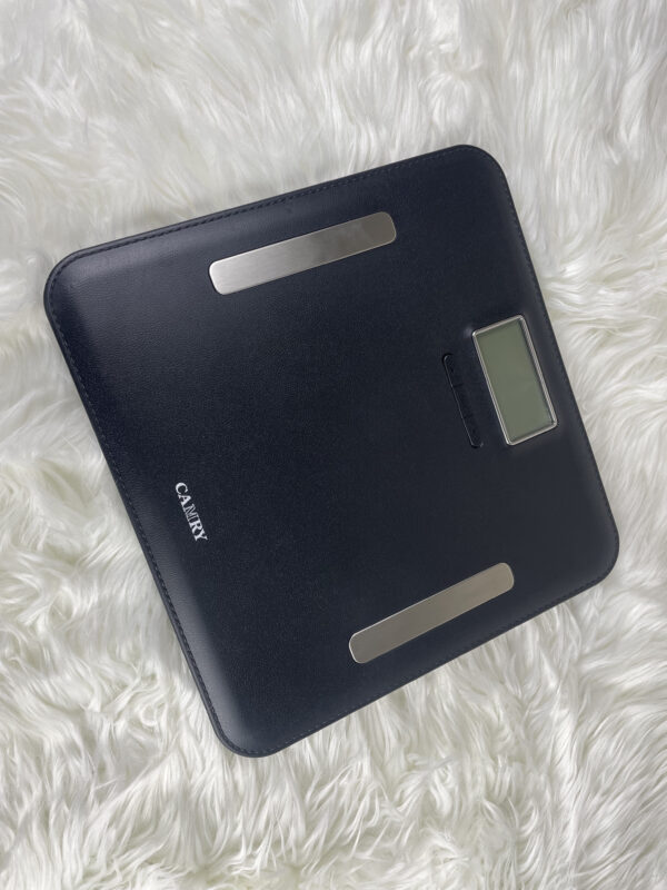 CAMRY Digital Weight EF751