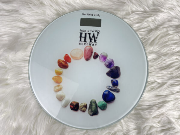 HW Digital Weight Scale EB1652A