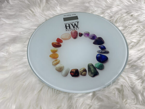 HW Digital Weight Scale EB1652A